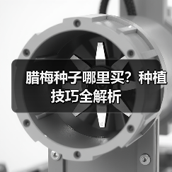 腊梅种子哪里买？种植技巧全解析（图1）