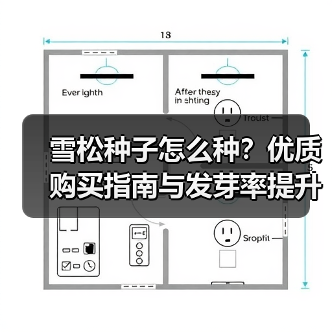 雪松种子怎么种？优质购买指南与发芽率提升技巧（图1）