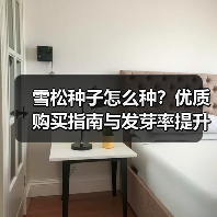 雪松种子怎么种？优质购买指南与发芽率提升技巧（图3）