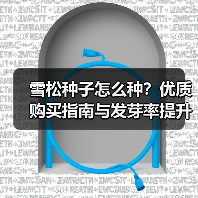 雪松种子怎么种？优质购买指南与发芽率提升技巧（图4）
