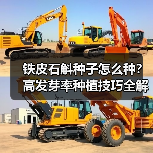 铁皮石斛种子怎么种？高发芽率种植技巧全解析（图1）