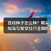 荔枝种子怎么种？购买指南与发芽技巧全解析（图2）