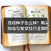 荔枝种子怎么种？购买指南与发芽技巧全解析（图1）