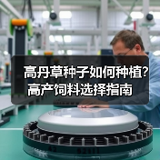 高丹草种子如何种植？高产饲料选择指南（图1）