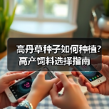 高丹草种子如何种植?高产饲料选择指南(图3) 高丹草种子如何种植?高产饲料选择指南(图3)