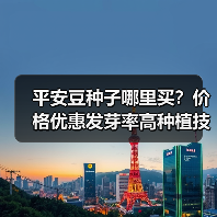 平安豆种子哪里买？价格优惠发芽率高种植技术（图1）