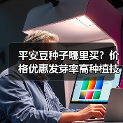 平安豆种子哪里买?价格优惠发芽率高种植技术(图3) 平安豆种子哪里买?价格优惠发芽率高种植技术(图3)