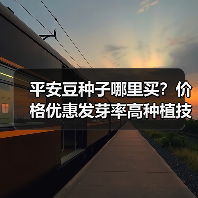 平安豆种子哪里买?价格优惠发芽率高种植技术(图4) 平安豆种子哪里买?价格优惠发芽率高种植技术(图4)