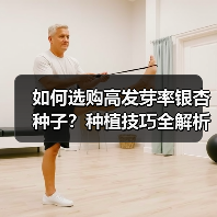 如何选购高发芽率银杏种子？种植技巧全解析（图3）