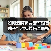如何选购高发芽率银杏种子？种植技巧全解析（图4）