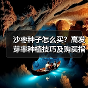 沙枣种子怎么买？高发芽率种植技巧及购买指南（图4）