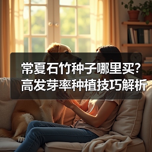 常夏石竹种子哪里买？高发芽率种植技巧解析（图2）
