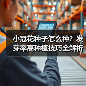 小冠花种子怎么种？发芽率高种植技巧全解析（图2）