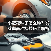 小冠花种子怎么种?发芽率高种植技巧全解析(图3) 小冠花种子怎么种?发芽率高种植技巧全解析(图3)