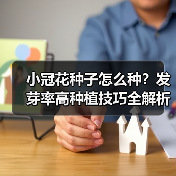 小冠花种子怎么种?发芽率高种植技巧全解析(图4) 小冠花种子怎么种?发芽率高种植技巧全解析(图4)