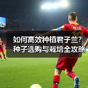 如何高效种植君子兰？种子选购与栽培全攻略（图1）