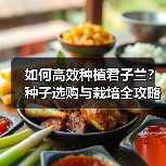 如何高效种植君子兰？种子选购与栽培全攻略（图2）