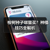 桉树种子哪里买?种植技巧全解析(图3) 桉树种子哪里买?种植技巧全解析(图3)
