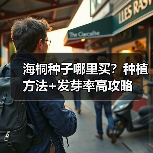 海桐种子哪里买？种植方法+发芽率高攻略（图2）