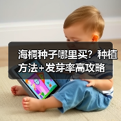 海桐种子哪里买?种植方法+发芽率高攻略(图4) 海桐种子哪里买?种植方法+发芽率高攻略(图4)