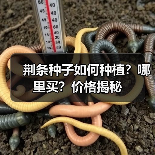 荆条种子如何种植？哪里买？价格揭秘（图2）