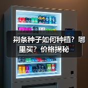 荆条种子如何种植？哪里买？价格揭秘（图3）