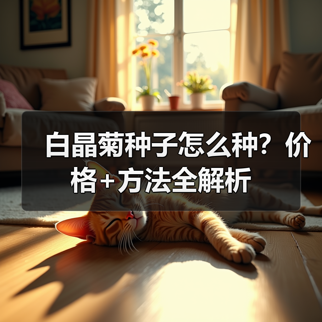 白晶菊种子怎么种？价格+方法全解析（图2）