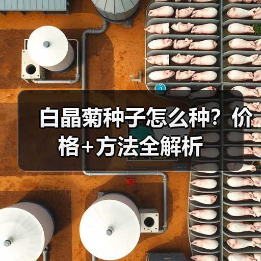 白晶菊种子怎么种？价格+方法全解析（图4）
