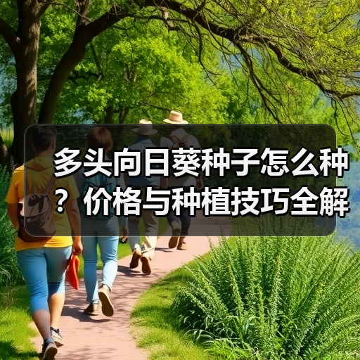 多头向日葵种子怎么种？价格与种植技巧全解析（图4）