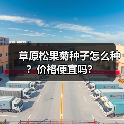 草原松果菊种子怎么种？价格便宜吗？（图2）