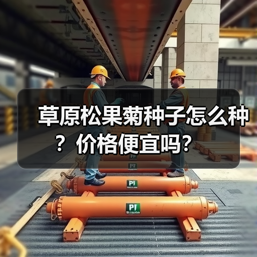 草原松果菊种子怎么种？价格便宜吗？（图3）