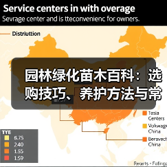 园林绿化苗木百科:选购技巧、养护方法与常见问题解析(图4) 园林绿化苗木百科:选购技巧、养护方法与常见问题解析(图4)
