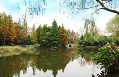 城市湿地生态园林营造