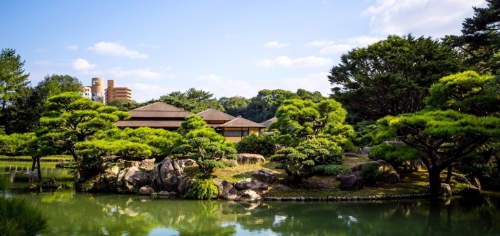 “涵境园艺水景场景解决方案：打造私家庭院与商业空间的水景园艺