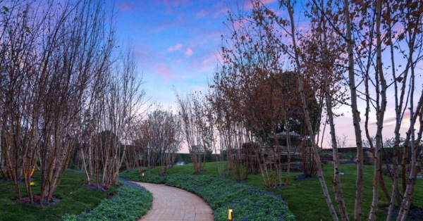 涵境园艺的徽派文化深度运营——打造独具辨识度的中式园艺空间