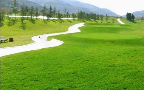 涵境园艺都市公园景观升级：绿意与艺术的完