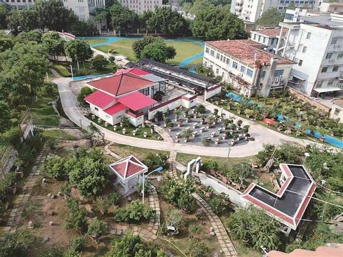 全国首座闽派盆景专类公园在厦亮相,杏东公园二期开放,百年榕树《两岸乡情》镇园,近五百盆精品集中展示 全国首座闽派盆景主题专类公园开放